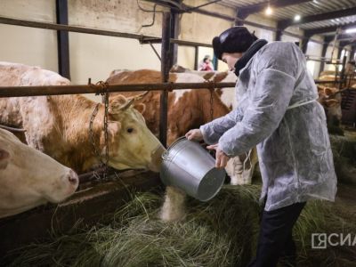 Минсельхоз Якутии: «Зимовка скота и лошадей проходит в штатном режиме»