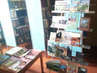 Спасская библиотека