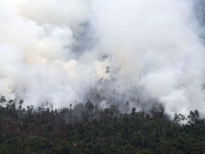 Роспотребнадзор не выявил превышения концентрации в воздухе вредных веществ