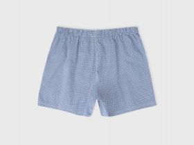 Текстильные боксеры в мелкую клетку, Голубой