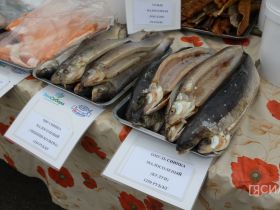 Молочная продукция, мясо и овощи: обзор цен на ярмарке «Продовольствие-2025» в Якутске