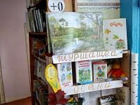 Владимирская сельская библиотека им. С. В. Афоньшина