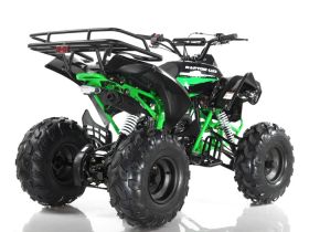 Квадроцикл MOTAX ATV Raptor-LUX 125 cc