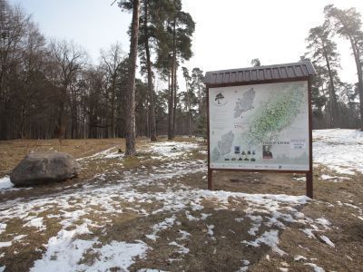 Лесопарк им. Теодора Кроне