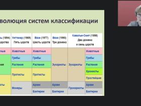 Международный вебинар "Человек как биологический вид"