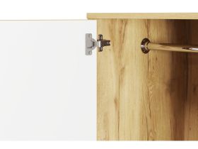 Распашной шкаф Тайрон 2-95x200 Розетта