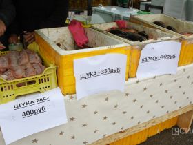 Молочная продукция, мясо и овощи: обзор цен на ярмарке «Продовольствие-2025» в Якутске