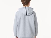 Мужская толстовка Lacoste Regular Fit