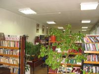 Библиотека городского поселения «Город Белоусово»