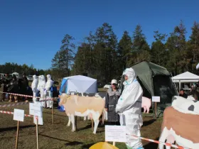 Командно-штабные учения ветеринарных служб прошли в Якутии