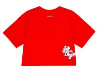 Фуфайка трикотажная для девочек (футболка)