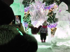 В АО «АК «ЖДЯ» зажгли главный символ нового года