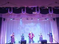 Шебалинский районный центр культуры