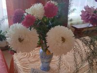 Комаровский сельский дом культуры