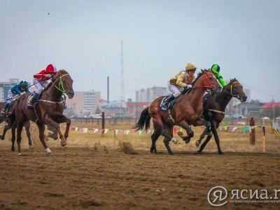 Программа скачек на Кубок ректора ЯГСХА