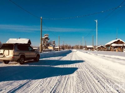 Разведение коров якутской породы планируют развивать в селе Хатылама