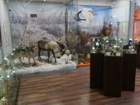 Тазовский районный краеведческий музей