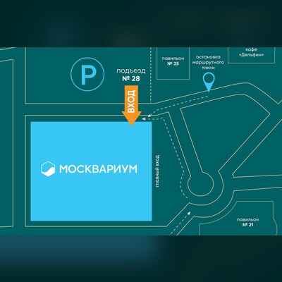 Детям от 7 до 11 лет Москвариум