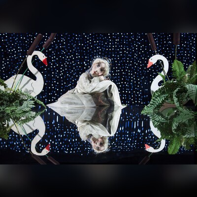 Царевна-лягушка