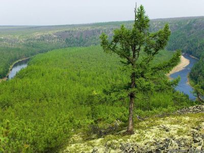 В районе отменен режим ЧС, но запреты действуют