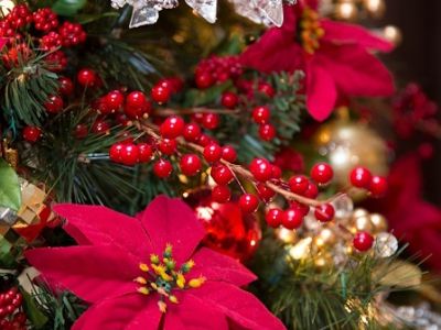 Большой Рождественский Концерт