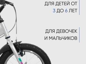 Детский велосипед Forward Dakota 16, год 2022, цвет Серый-Фиолетовый