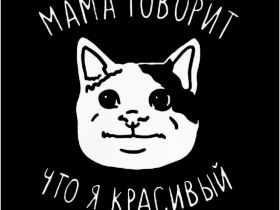 Комплект наклеек Krutoff «Мемы — звери» (8 шт.)