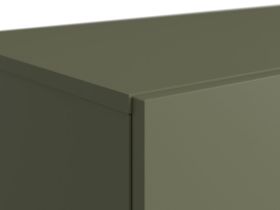 ТВ-тумба Имин 116x51 Оливковый