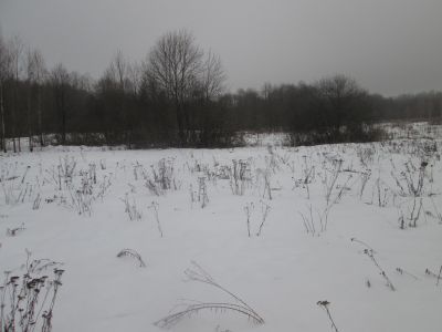Родина Героя Советского Союза Н.П. Седненкова, погибшего в сентябре 1943 г.