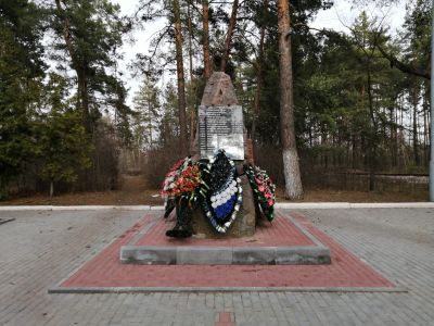 Братская могила № 409