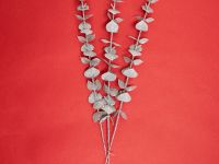 Ветвь Монтьери/Montieri II