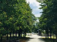 Парк культуры и отдыха г. Бердска