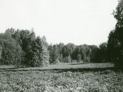 Парк в составе усадьбы Колотилово