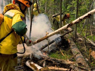 Во время ЧС в Якутии потушили более 220 лесных пожаров