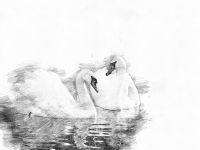 Бумага для черчения и графики Clairefontaine "Drawing Paper Ream" 250 г, белый