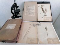 Музей экологии и охраны природы г. Набережные Челны