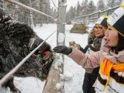 Недропользователь участвует в проекте по расширению ареала распространения животных