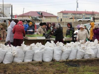 В Чурапчинском улусе ожидается более 43 млн рублей доходов населения по поддержке семейной экономики