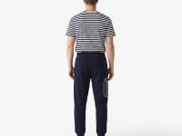 Мужские хлопковые спортивные брюки Lacoste