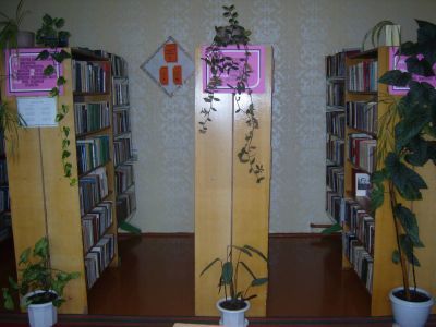 Дубровская сельская библиотека-филиал