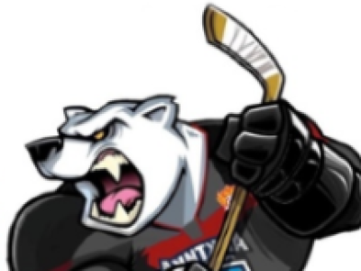 ХК Арктика (Мурманская область) – МХК Гранит (Чехов)