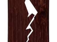 Сноуборд SHORNER CLASSIC 22/23