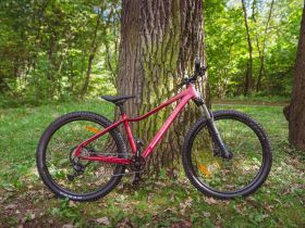 Женский велосипед Alpine Bike Terra 8W, год 2026, цвет Красный, ростовка 16