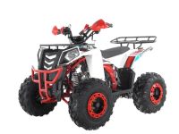 Квадроцикл WELS Thunder Evo X ST