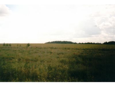 Священная роща