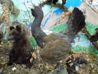 Абанский районный краеведческий музей им. М. В. Фомичёва