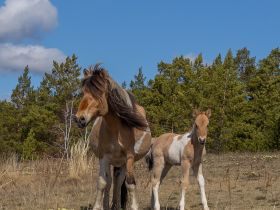 Весеннее пробуждение. Пешая экскурсия по Табагинскому Мысу