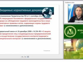 Международный вебинар "Государственный надзор и контроль за соблюдением законодательства РФ о труде и об охране труда"