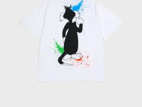 Фуфайка трикотажная для мальчиков (футболка)