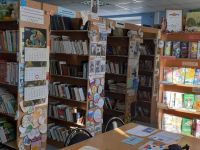 Заболотская библиотека